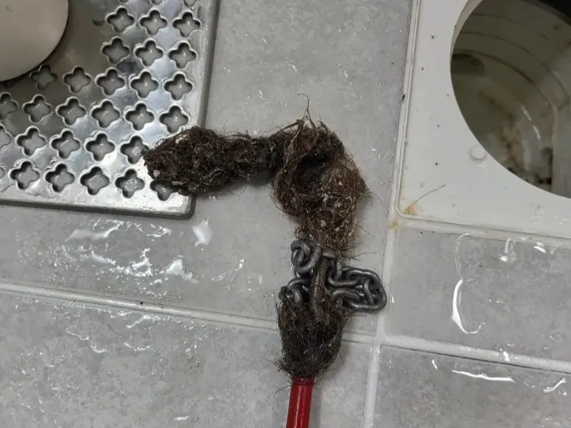 대전 아파트 저층 욕실로 하수가 올라올 때 먼저 볼 것