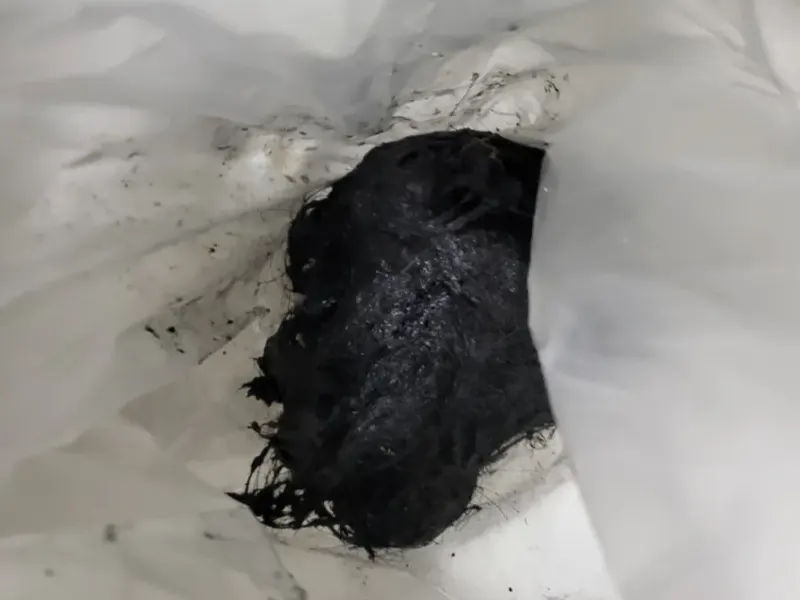 대전 배수구에서 빼낸 검은 머리카락 뭉치