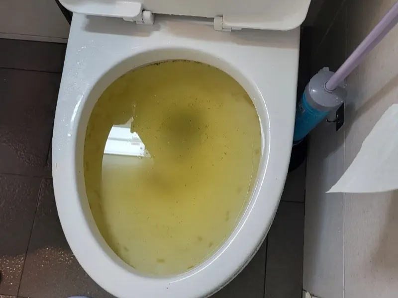 대전 변기막힘 작업사례 3